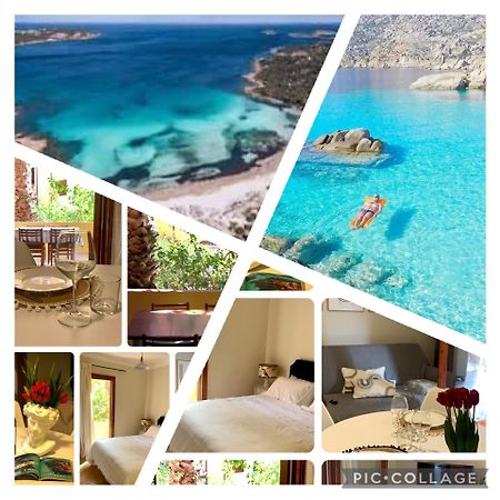Nest House - Esclusivo Appartamento Marina Di Olbia- Mater Olbia - Beaches - Close To The Airport - Private Parking- Full Comforts - Exterior foto